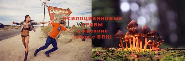 каннабис Белокуриха