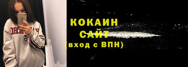дживик Богородск