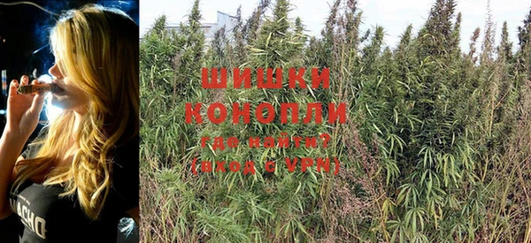 прущая мука Богородицк