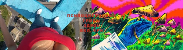 каннабис Белокуриха