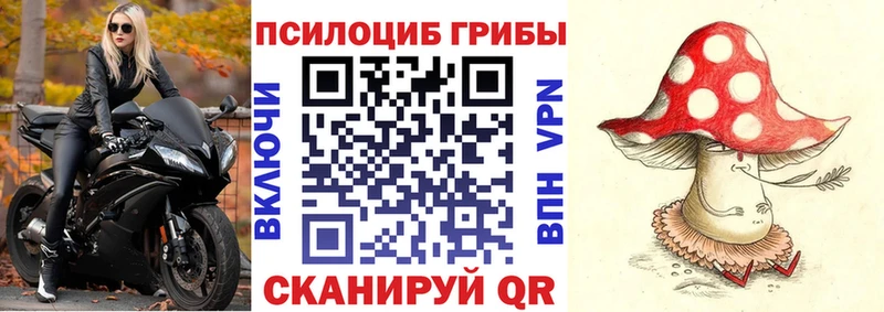 цена   Медногорск  Галлюциногенные грибы GOLDEN TEACHER 